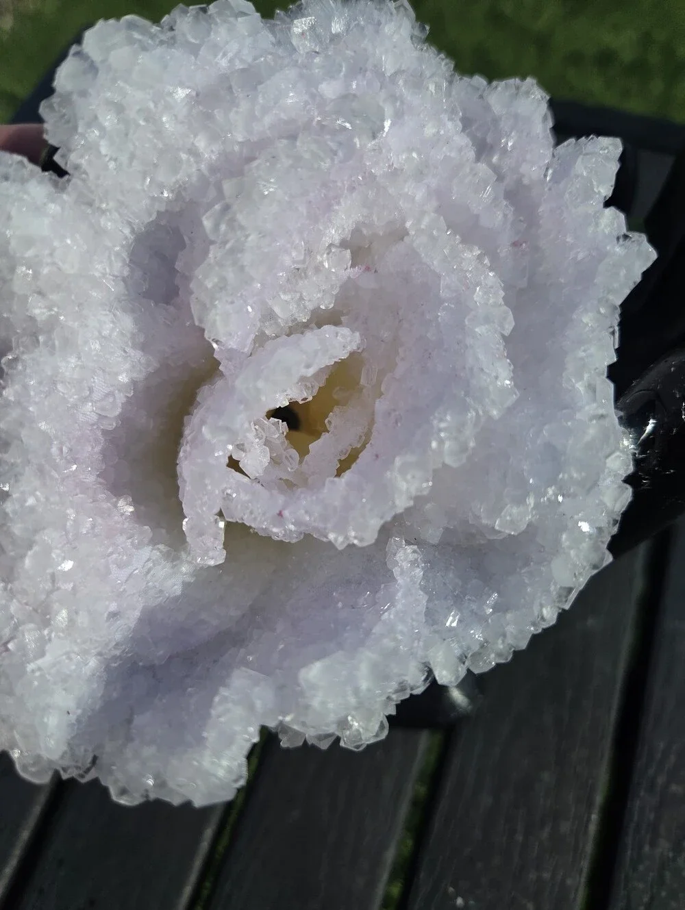 MYSTIC ROSE hand made Crystalized Rose In glass dome Buy Now